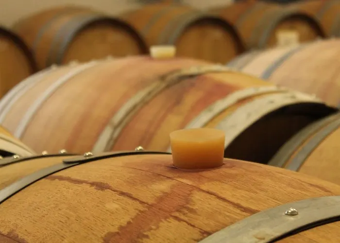 Du Domaine Maison Dodo 度假居